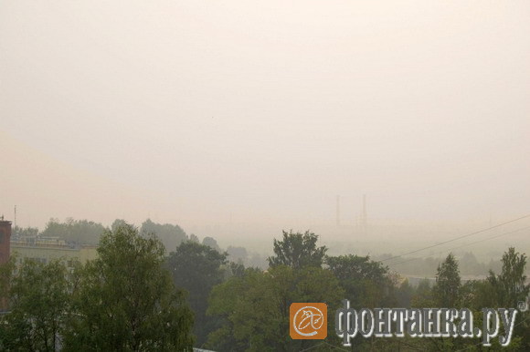 Вид с новостроек в Мурино